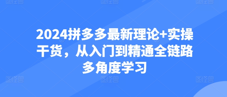 2024拼多多最新理论+实操干货，从入门到精通全链路多角度学习-轻创社