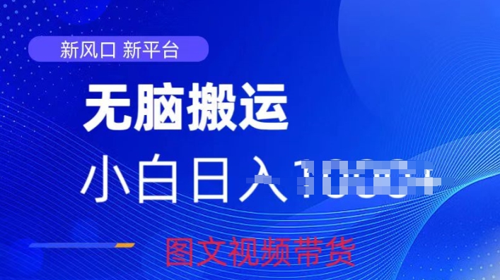 京东视频图文搬运带货项目，蓝海赛道小白轻松上手，每天一小时轻松获取收益-轻创社