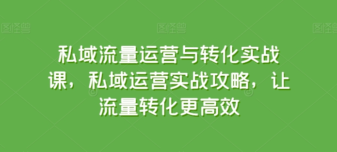 私域流量运营与转化实战课，私域运营实战攻略，让流量转化更高效-轻创社