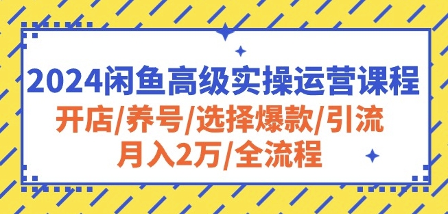 2024闲鱼高级实操运营课程：开店/养号/选择爆款/引流/月入2万/全流程-轻创社