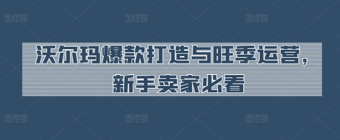 沃尔玛超市爆款打造与高峰期经营，新手卖家必读-轻创社