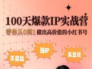 小红书的100天爆品IP实战营，陪你从0到1作出高颜值的小红书号-轻创社