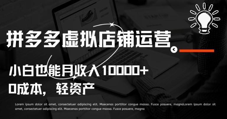拼多多虚拟店铺运营小白也能月收入10000+【揭秘】-轻创社