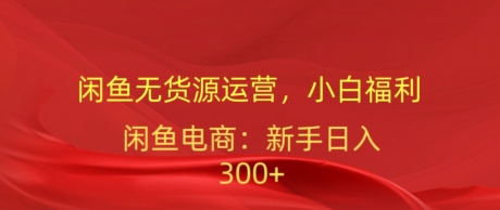 闲鱼平台无货源电商经营，新手褔利，日入300加-轻创社