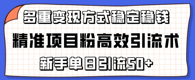精确新项目粉高效率引流术，初学者单日引流方法50 ，多种变现模式稳定赚钱【揭密】-轻创社