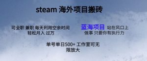 最新投资项目steam打金，运单号日入500-轻创社