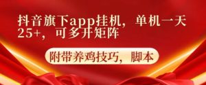 抖音视频集团旗下APP放置挂机，4.0游戏玩法，防出现异常，升级养机方式-轻创社