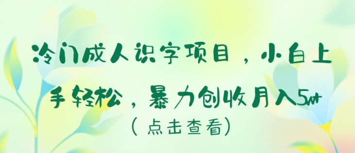 冷门成人识字项目，小白上手轻松，暴力创收月入5w+【揭秘】-轻创社