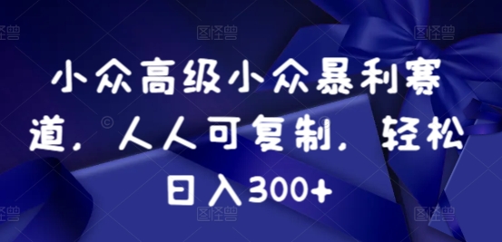 小众暴利赛道，人人可复制，轻松日入300+-轻创社