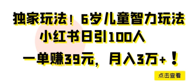独家玩法，6岁儿童智力玩法，小红书日引100人-轻创社