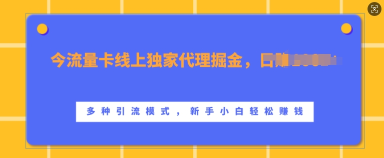 上网卡网上独家经营掘金队，日入1k ，多种多样引流方法方式，新手入门快速上手【揭密】-轻创社