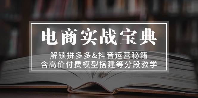 电子商务实战演练秘笈：开启拼多多平台&自媒体运营秘笈，含高价位付钱模型搭建等按段课堂教学-轻创社