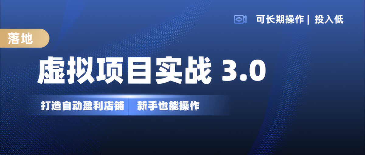 虚拟资源项目实际操作落地式 3.0,初学者快速上手，品类月入1W-轻创社