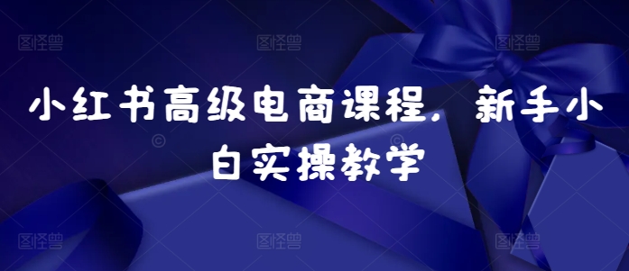 小红书高级电商课程，新手小白实操教学-轻创社